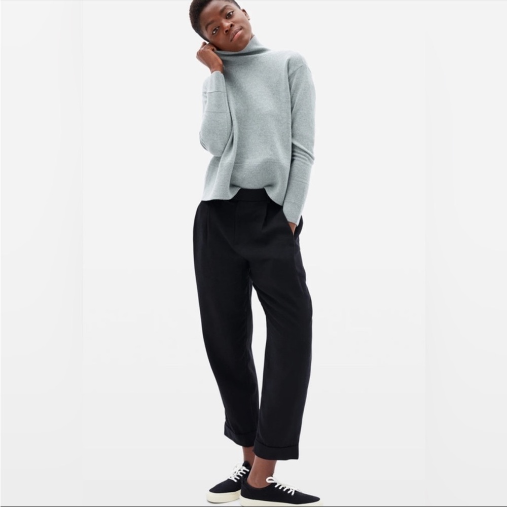 Everlane | The put together pleat pant size 0 black , canvas pleated